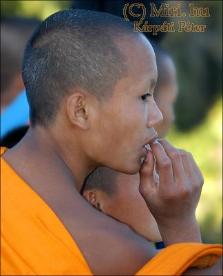 twg_slideshow