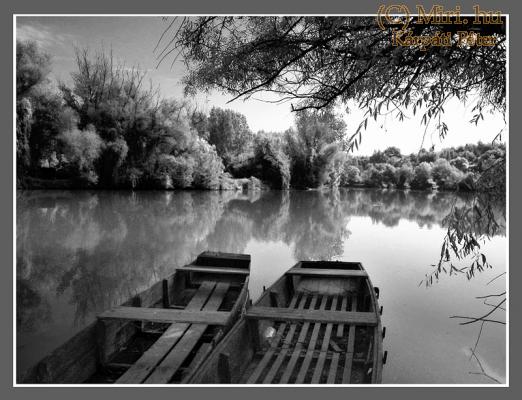 twg_slideshow