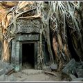 Angkor 427_TaProhm