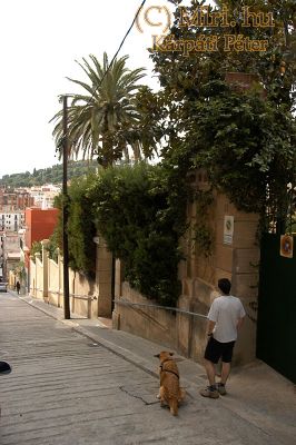 twg_slideshow