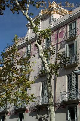 twg_slideshow