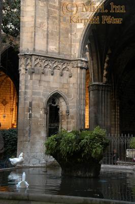 twg_slideshow