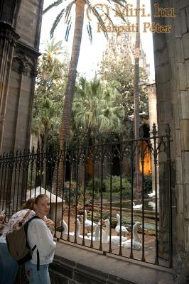 twg_slideshow