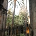 Catedral_8