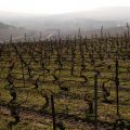Dom Perignon_Hautvillers_106
