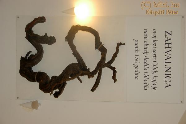 twg_slideshow