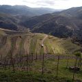 Clos Mogador_45