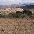 Clos Mogador_38