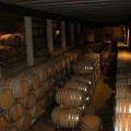 Clos Mogador_65