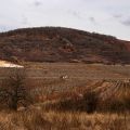 BorozasHegyalja_51