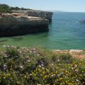 Algarve-Albandeira_Beach_50