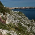 Algarve-Sagres_Beliche_erd_14