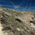 Algarve-Sagres_erd_29