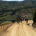 Douro-Quinta_Dos_Murcas_18