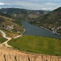 Douro-Quinta_Dos_Murcas_19