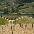 Douro-Quinta_Dos_Murcas_21