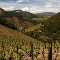 Douro-Quinta_Dos_Murcas_3