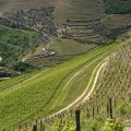 Douro-Quinta_Dos_Murcas_36