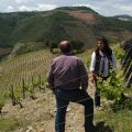 Douro-Quinta_Dos_Murcas_37