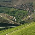 Douro-Quinta_Dos_Murcas_45