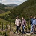 Douro-Quinta_Dos_Murcas_5