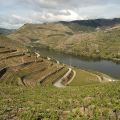 Douro-Quinta_do_Seixo_1