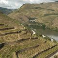 Douro-Quinta_do_Seixo_13