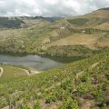 Douro-Quinta_do_Seixo_14