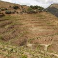 Douro-Quinta_do_Seixo_16