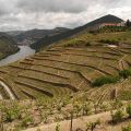 Douro-Quinta_do_Seixo_18