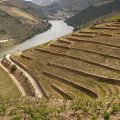 Douro-Quinta_do_Seixo_21