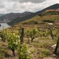 Douro-Quinta_do_Seixo_22