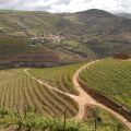 Douro-Quinta_do_Seixo_32