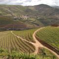 Douro-Quinta_do_Seixo_32