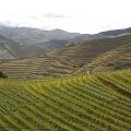 Douro-Quinta_do_Seixo_33