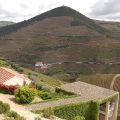 Douro-Quinta_do_Seixo_41