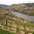 Douro-Quinta_do_Seixo_69
