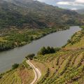 Douro_13