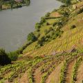 Douro_19