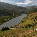 Douro_2