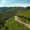 Douro_30