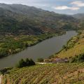 Douro_4