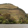 Douro_50