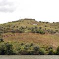 Douro_55