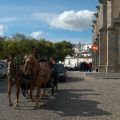Evora_55