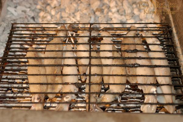 twg_slideshow