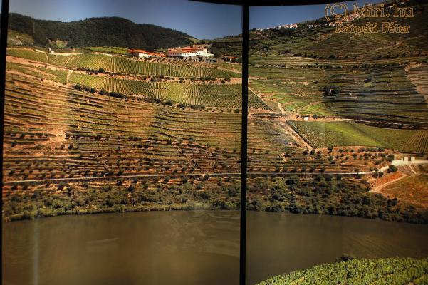 twg_slideshow