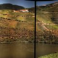 Porto_Sandeman_33