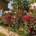 Ephesus Boutique Hotel_Fziskola_2 