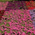 Isztambul_385